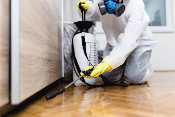 Wasp Removal Services in Wright, WY
