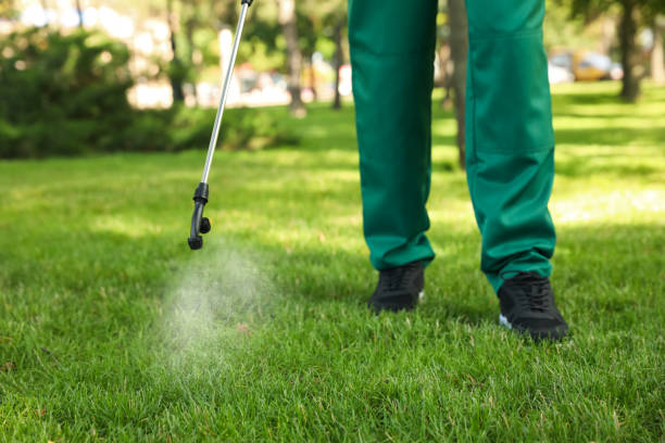 Best Residential Pest Control  in Wright, WY