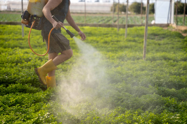 Trusted Wright, WY Pest Control Experts
