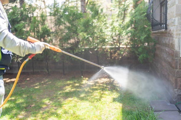 Best Cockroach Control Services  in Wright, WY