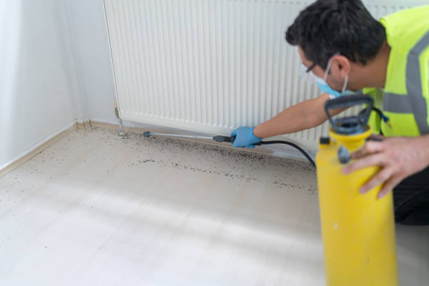 Best Pest Prevention Services  in Wright, WY