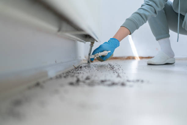Best Mosquito Control Services  in Wright, WY