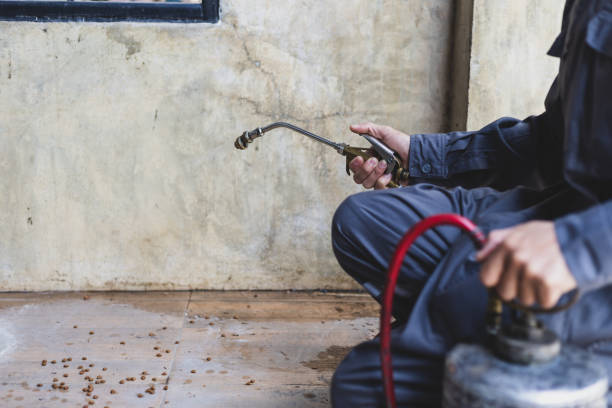 Best Pest Control for Businesses  in Wright, WY